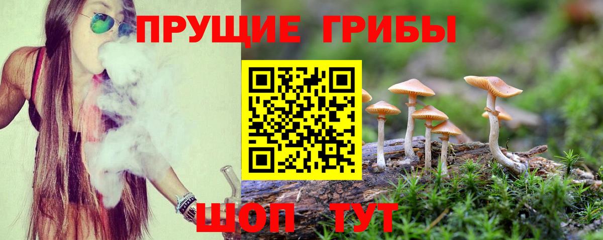 Галлюциногенные грибы ЛСД Великие Луки